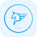 Feima China VPN, 飞鹰国内VPN