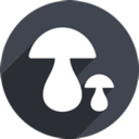 Mogu China VPN, 蘑菇国内VPN